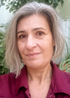 Martina Lippert